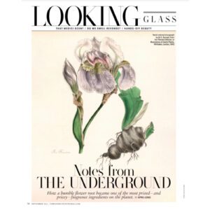 Town & Country Notes From The Underground