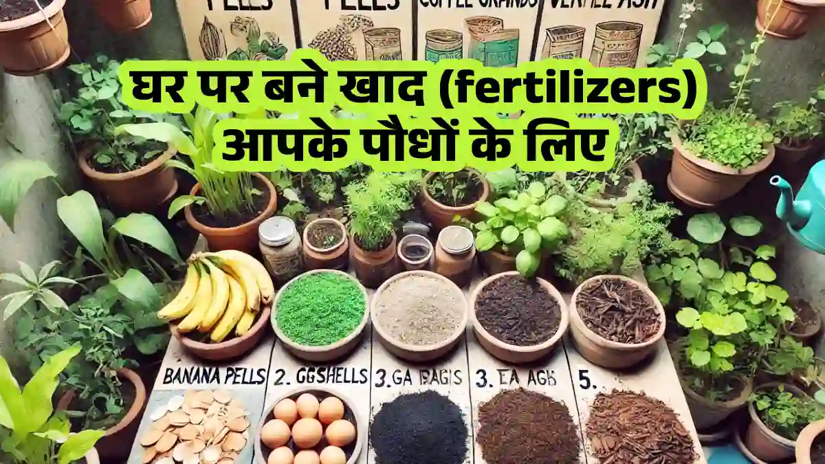 घर पर बने खाद (fertilizers)